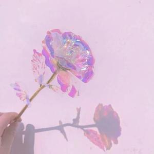 不要忘记我爱你