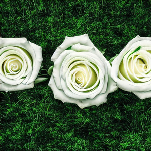 白事专用曲 (唢呐版)