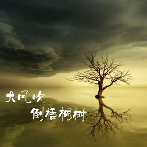 大风吹倒梧桐树 (沧桑合唱版)