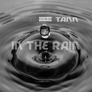 In the Rain (feat. Tann)