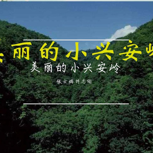 美丽的小兴安岭 许志刚