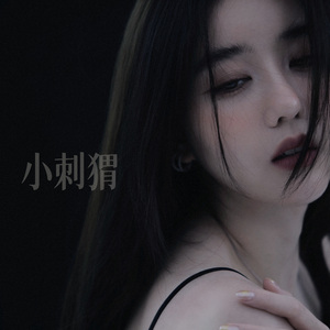 小刺猬