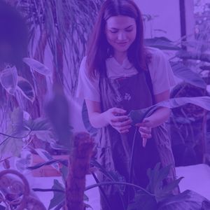 温和专卖店梦想