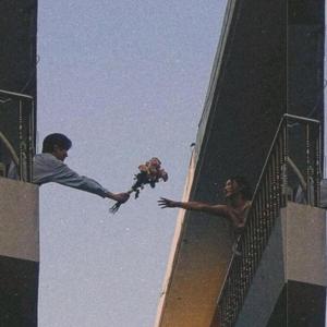 TOTORO (brent, sonder)