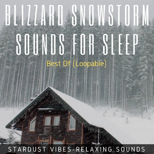 Blizzard Storm Sounds at a Snow Resort