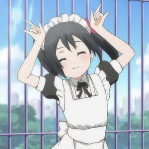 爱消失在了丛林