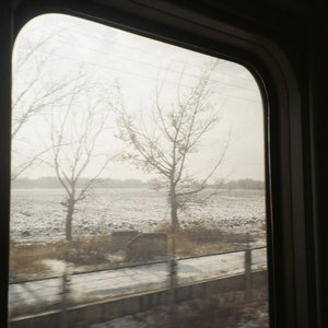 城市灯火下的清白暧昧