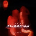 拉勾爱我好不好 (DJ版)
