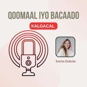 Kalgacal