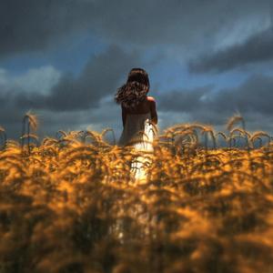 Sweet Lily (feat. BEARR.)