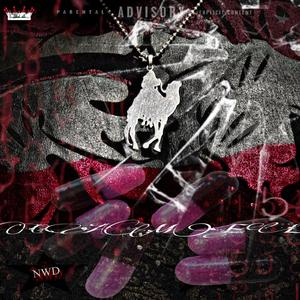 CAMEL (feat. WAR & NETHR)