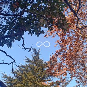 KD_Searching（核动力哈哈机 remix）