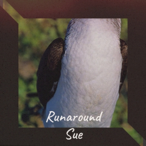 Don't Let That Happen To Us