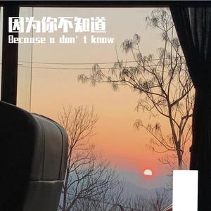 因为你不知道（prod EVOMUSIC)