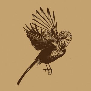 What Kind of Bird Am I