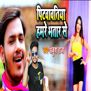 Pitawawtiya Hamare Bhatar Se