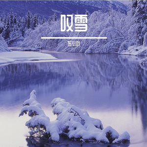 叹雪