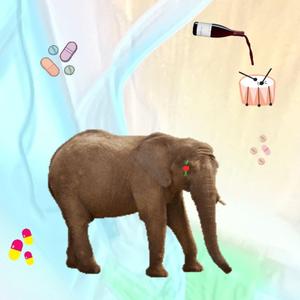 הפיל (preview version)