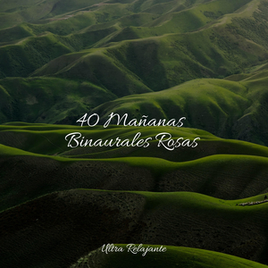 Puesta De Sol De La Libélula