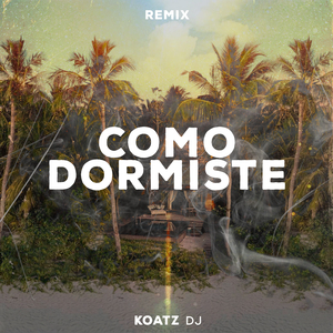 Como Dormiste? (Remix)
