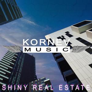 Shiny Real Estate