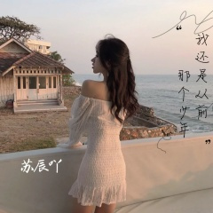 最美的风景是回家的那条路