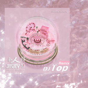 JAVEY-私人秘密（DJ Top remix）
