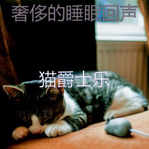 有趣小猫情怀
