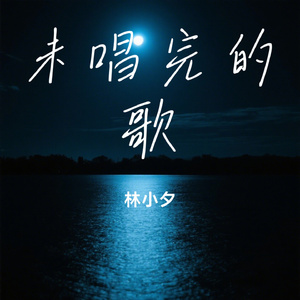 未唱完的歌