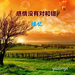 感情没有对和错