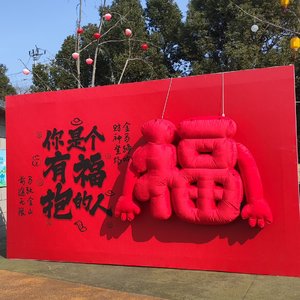《朱家角峰会-国风》
