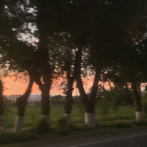 健康至上快乐至上