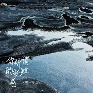 你所谓的新鲜感