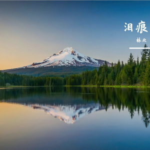 诺言吹成海