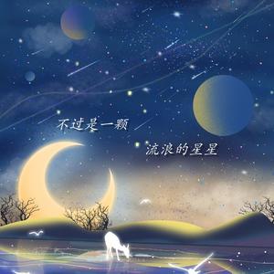 不过是一颗流浪的星星