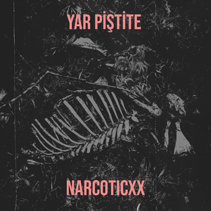 Yar Piştite