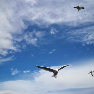 时间都去哪儿了