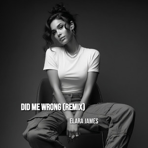 Did Me Wrong (Remix)