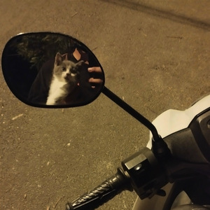 Nếu Tình Yêu Đã Lãng Quên