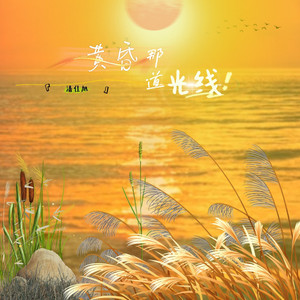 黄昏那道光线-整曲