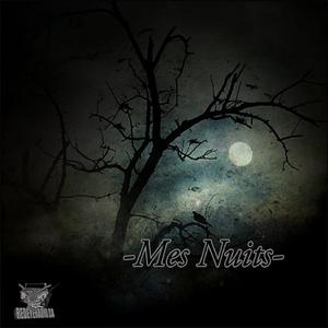 Mes Nuits (feat. Dialekt & Fess Gotchu)