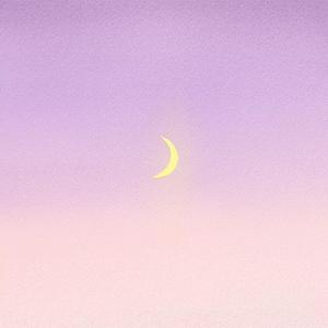 lil milk-Moonlight（杨逍然 remix）