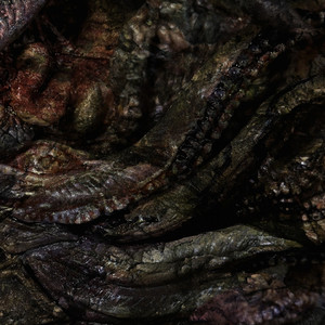 Exsciccation (Hyph11e Remix)