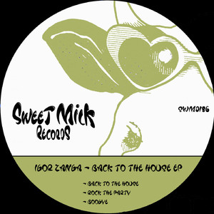 Rock The Party (Original Mix)