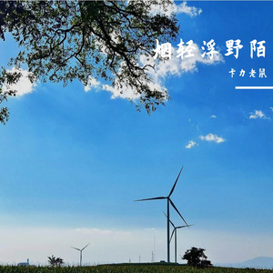 清欢无别事