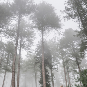 你还欠我一个拥抱
