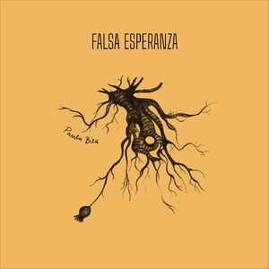Falsa Esperanza
