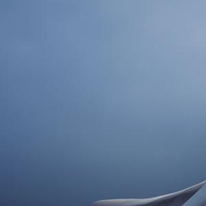 攒够思念去见你