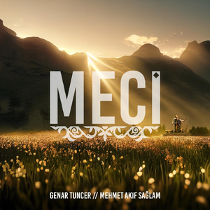 Meci