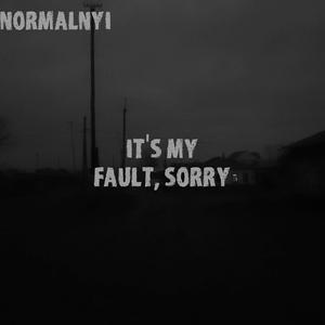 It's My Fault, Sorry